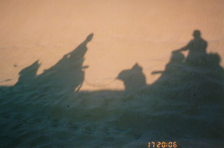 199709-camel-shadow.jpg